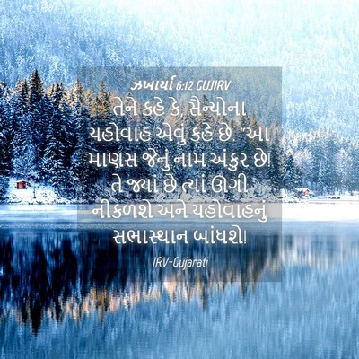 Picture 04 - ઝખાર્યા 6:12 GUJIRV - તેને કહે કે, - Bible Verse Picture