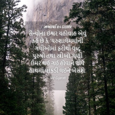 Picture 04 - ઝખાર્યા 8:4 GUJIRV - સૈન્યોના ઈશ્વર - Bible Verse Picture