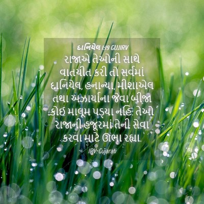Picture 04 - દાનિયેલ 1:19 GUJIRV - રાજાએ તેઓની સાથે - Bible Verse Picture