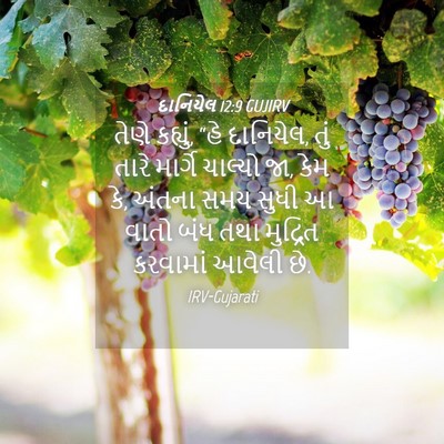 Picture 04 - દાનિયેલ 12:9 GUJIRV - તેણે કહ્યું, “હે - Bible Verse Picture