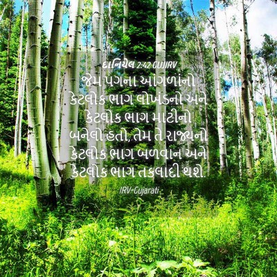 Picture 04 - દાનિયેલ 2:42 GUJIRV - જેમ પગના આંગળાંનો - Bible Verse Picture