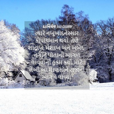 Picture 04 - દાનિયેલ 3:13 GUJIRV - ત્યારે - Bible Verse Picture