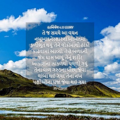 Picture 04 - દાનિયેલ 4:33 GUJIRV - તે જ સમયે આ વચન - Bible Verse Picture