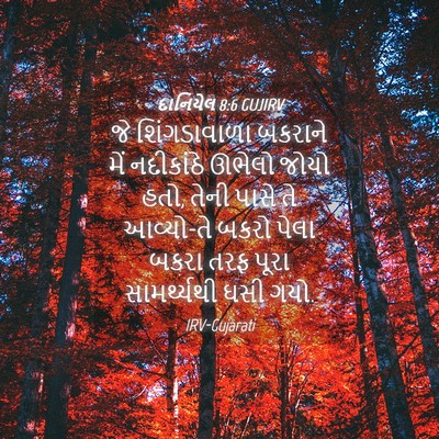 Picture 04 - દાનિયેલ 8:6 GUJIRV - જે શિંગડાવાળા - Bible Verse Picture