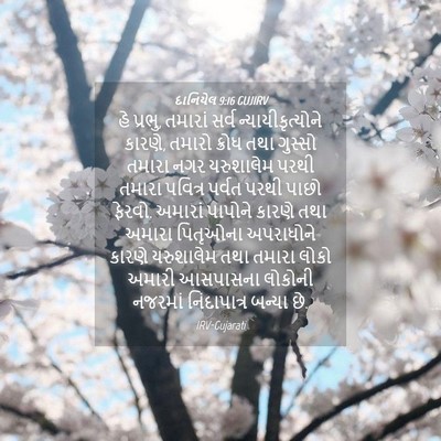 Picture 04 - દાનિયેલ 9:16 GUJIRV - હે પ્રભુ, તમારાં - Bible Verse Picture