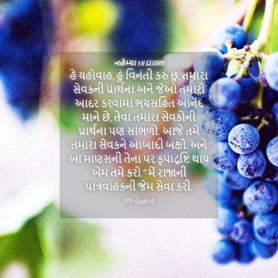 Picture 04 - નહેમ્યા 1:11 GUJIRV - હે યહોવાહ, હું - Bible Verse Picture