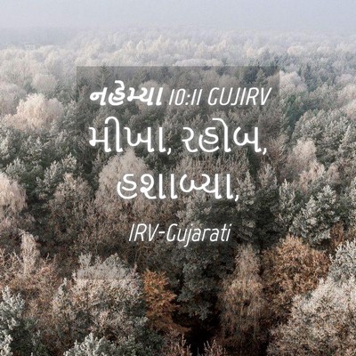 Picture 04 - નહેમ્યા 10:11 GUJIRV - મીખા, રહોબ, - Bible Verse Picture