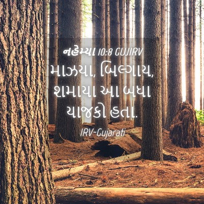 Picture 04 - નહેમ્યા 10:8 GUJIRV - માઝયા, બિલ્ગાય, - Bible Verse Picture