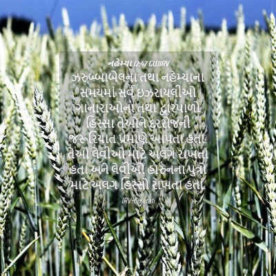 Picture 04 - નહેમ્યા 12:47 GUJIRV - ઝરુબ્બાબેલના તથા - Bible Verse Picture