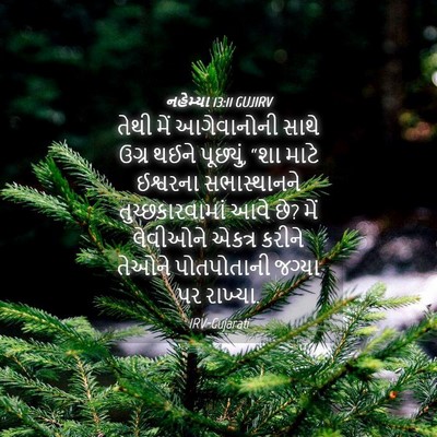 Picture 04 - નહેમ્યા 13:11 GUJIRV - તેથી મેં - Bible Verse Picture