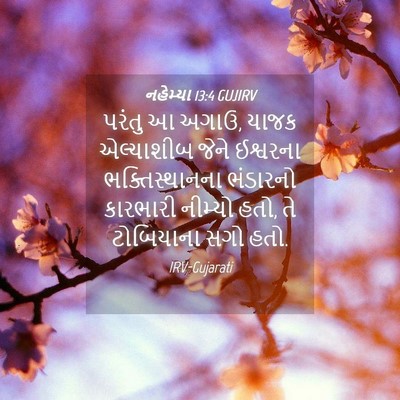 Picture 04 - નહેમ્યા 13:4 GUJIRV - પરંતુ આ અગાઉ, યાજક - Bible Verse Picture