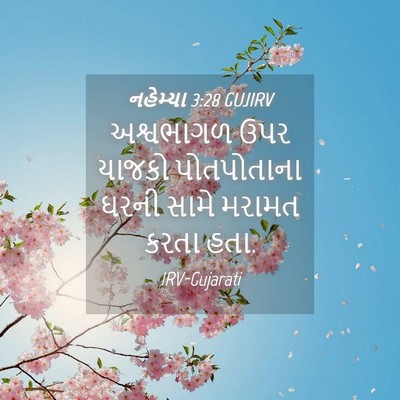 Picture 04 - નહેમ્યા 3:28 GUJIRV - અશ્વભાગળ ઉપર - Bible Verse Picture