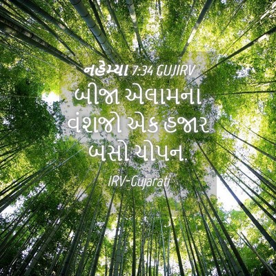 Picture 04 - નહેમ્યા 7:34 GUJIRV - બીજા એલામના વંશજો - Bible Verse Picture