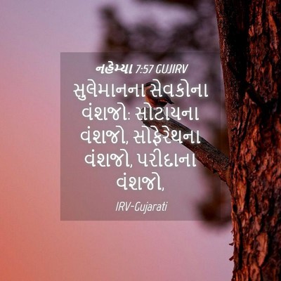 Picture 04 - નહેમ્યા 7:57 GUJIRV - સુલેમાનના સેવકોના - Bible Verse Picture