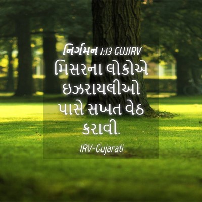 Picture 04 - નિર્ગમન 1:13 GUJIRV - મિસરના લોકોએ - Bible Verse Picture
