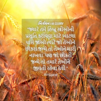 Picture 04 - નિર્ગમન 1:16 GUJIRV - “જ્યારે તમે - Bible Verse Picture