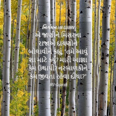 Picture 04 - નિર્ગમન 1:18 GUJIRV - એ જાણીને મિસરના - Bible Verse Picture