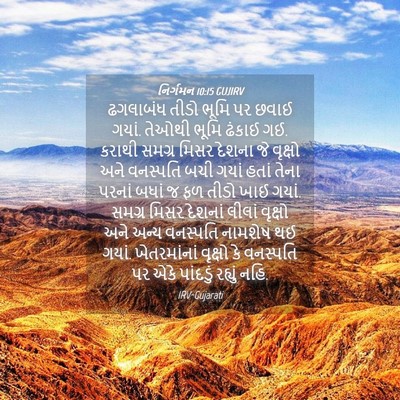 Picture 04 - નિર્ગમન 10:15 GUJIRV - ઢગલાબંધ તીડો ભૂમિ - Bible Verse Picture