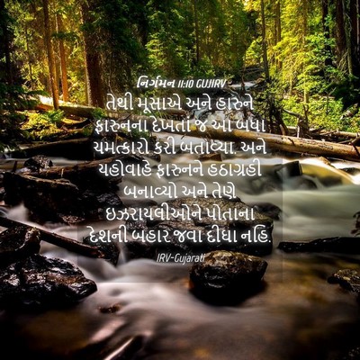 Picture 04 - નિર્ગમન 11:10 GUJIRV - તેથી મૂસાએ અને - Bible Verse Picture