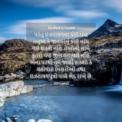 Picture 04 - નિર્ગમન 11:7 GUJIRV - પરંતુ ઇઝરાયલના - Bible Verse Picture