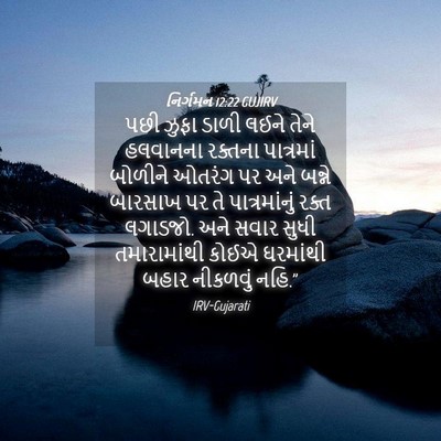 Picture 04 - નિર્ગમન 12:22 GUJIRV - પછી ઝુફા ડાળી લઈને - Bible Verse Picture
