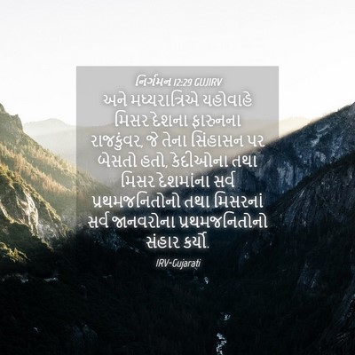 Picture 04 - નિર્ગમન 12:29 GUJIRV - અને મધ્યરાત્રિએ - Bible Verse Picture