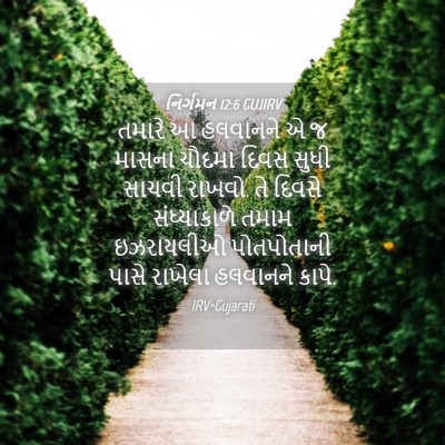 Picture 04 - નિર્ગમન 12:6 GUJIRV - તમારે આ હલવાનને એ જ - Bible Verse Picture