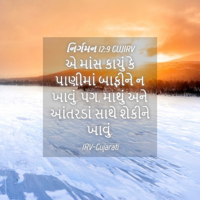 Picture 04 - નિર્ગમન 12:9 GUJIRV - એ માંસ કાચું કે - Bible Verse Picture