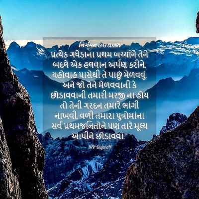 Picture 04 - નિર્ગમન 13:13 GUJIRV - પ્રત્યેક ગધેડાના - Bible Verse Picture