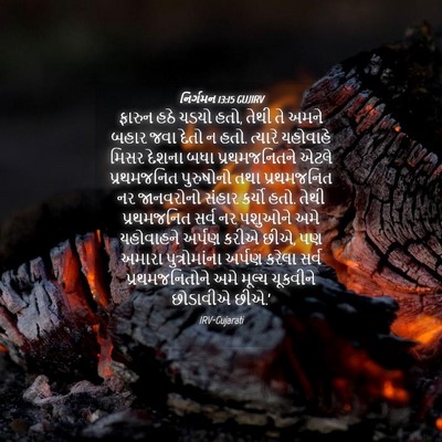 Picture 04 - નિર્ગમન 13:15 GUJIRV - ફારુન હઠે ચડયો હતો, - Bible Verse Picture