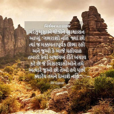 Picture 04 - નિર્ગમન 14:13 GUJIRV - પરંતુ મૂસાએ - Bible Verse Picture