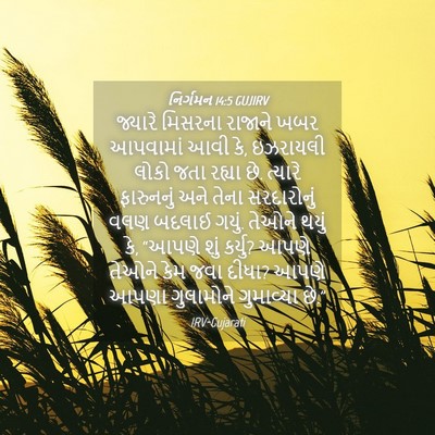 Picture 04 - નિર્ગમન 14:5 GUJIRV - જ્યારે મિસરના - Bible Verse Picture