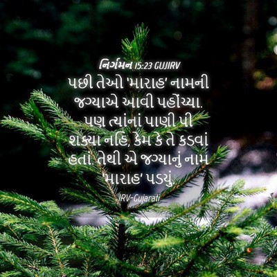 Picture 04 - નિર્ગમન 15:23 GUJIRV - પછી તેઓ ‘મારાહ’ - Bible Verse Picture