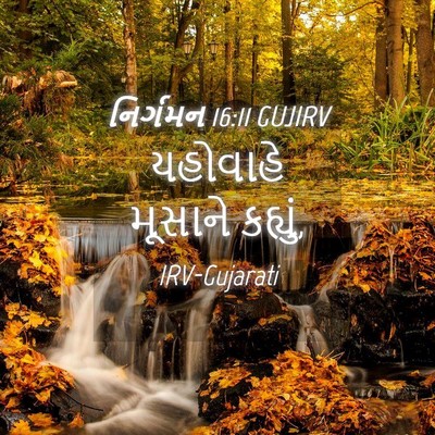Picture 04 - નિર્ગમન 16:11 GUJIRV - યહોવાહે મૂસાને - Bible Verse Picture