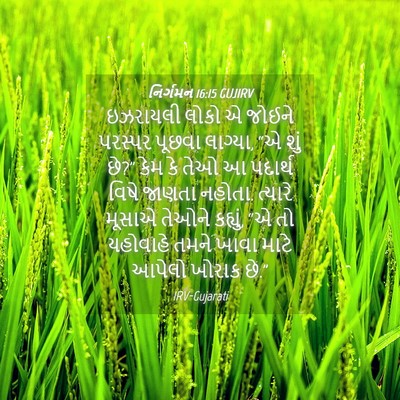 Picture 04 - નિર્ગમન 16:15 GUJIRV - ઇઝરાયલી લોકો એ - Bible Verse Picture