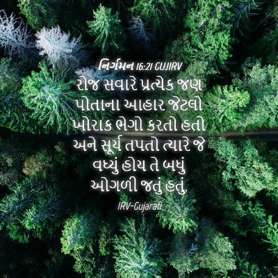 Picture 04 - નિર્ગમન 16:21 GUJIRV - રોજ સવારે - Bible Verse Picture