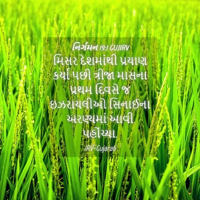 Picture 04 - નિર્ગમન 19:1 GUJIRV - મિસર દેશમાંથી - Bible Verse Picture
