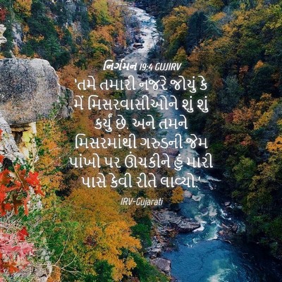 Picture 04 - નિર્ગમન 19:4 GUJIRV - ‘તમે તમારી નજરે - Bible Verse Picture