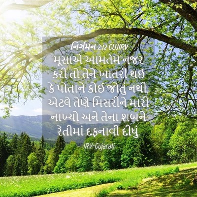 Picture 04 - નિર્ગમન 2:12 GUJIRV - મૂસાએ આમતેમ નજર - Bible Verse Picture