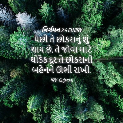 Picture 04 - નિર્ગમન 2:4 GUJIRV - પછી તે છોકરાનું - Bible Verse Picture