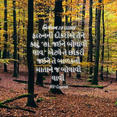 Picture 04 - નિર્ગમન 2:8 GUJIRV - ફારુનની દીકરીએ - Bible Verse Picture
