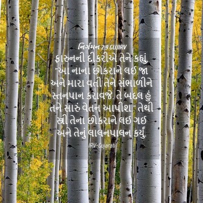 Picture 04 - નિર્ગમન 2:9 GUJIRV - ફારુનની દીકરીએ - Bible Verse Picture