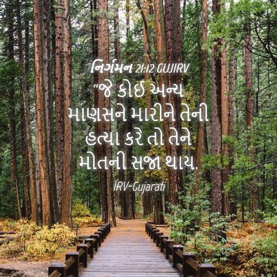 Picture 04 - નિર્ગમન 21:12 GUJIRV - “જે કોઈ અન્ય - Bible Verse Picture