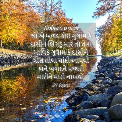 Picture 04 - નિર્ગમન 21:32 GUJIRV - જો એ બળદ કોઈ ગુલામ - Bible Verse Picture