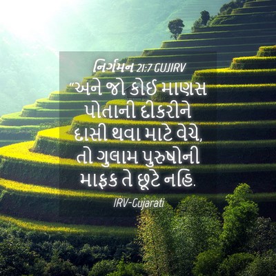 Picture 04 - નિર્ગમન 21:7 GUJIRV - “અને જો કોઈ માણસ - Bible Verse Picture