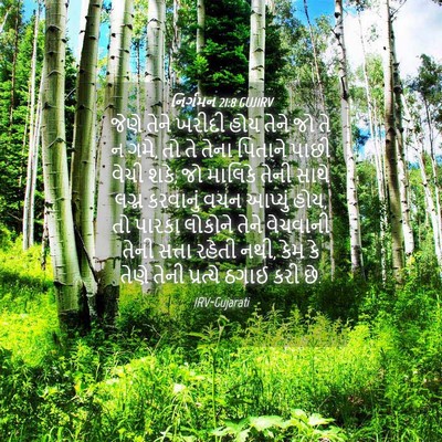 Picture 04 - નિર્ગમન 21:8 GUJIRV - જેણે તેને ખરીદી - Bible Verse Picture
