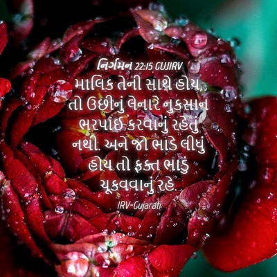 Picture 04 - નિર્ગમન 22:15 GUJIRV - માલિક તેની સાથે - Bible Verse Picture