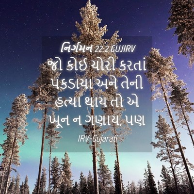 Picture 04 - નિર્ગમન 22:2 GUJIRV - જો કોઈ ચોરી કરતાં - Bible Verse Picture