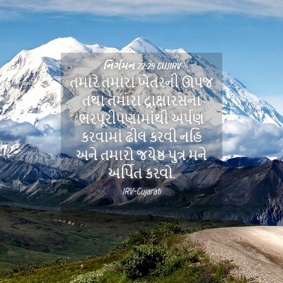 Picture 04 - નિર્ગમન 22:29 GUJIRV - તમારે તમારા - Bible Verse Picture