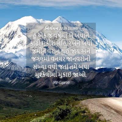 Picture 04 - નિર્ગમન 23:29 GUJIRV - હું એક જ વર્ષમાં એ - Bible Verse Picture